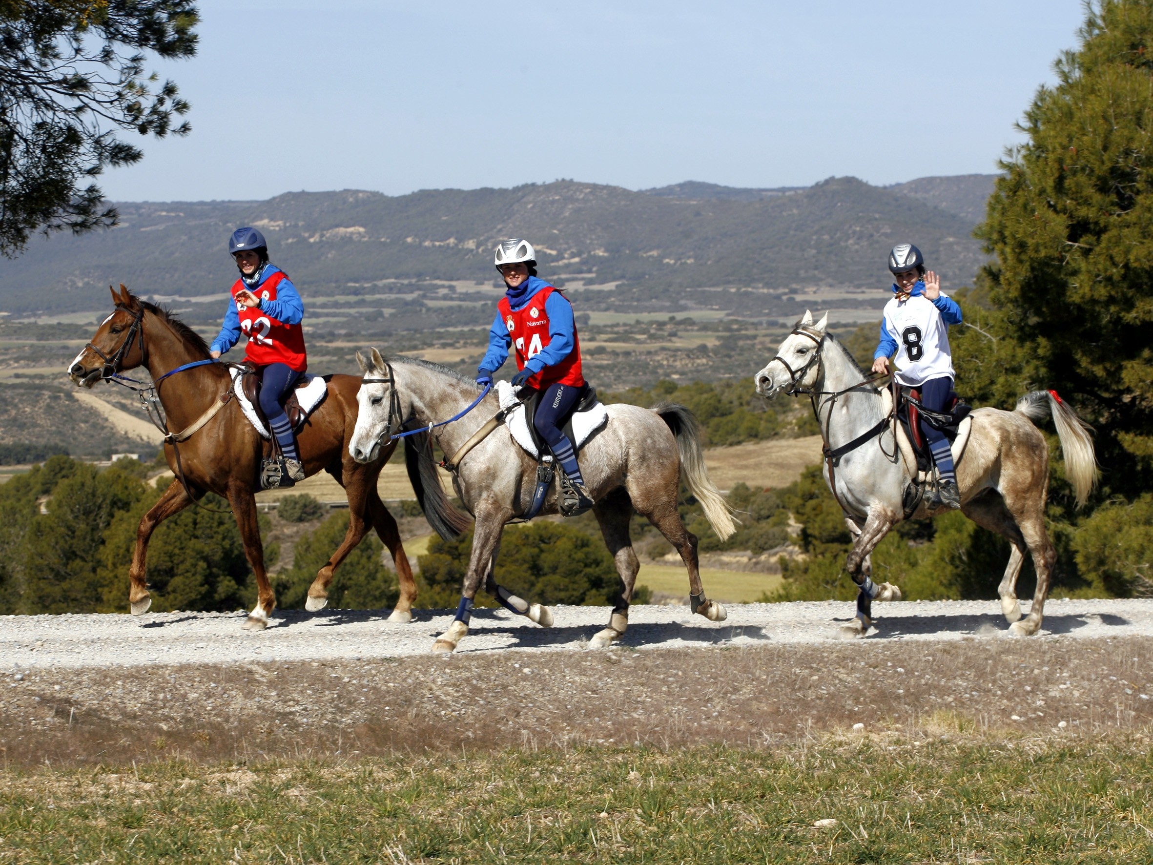 El Jinete Navarro Paco Ayestaran Ganó El XXVI Raid Internacional CEI* Celebrado En Figarol